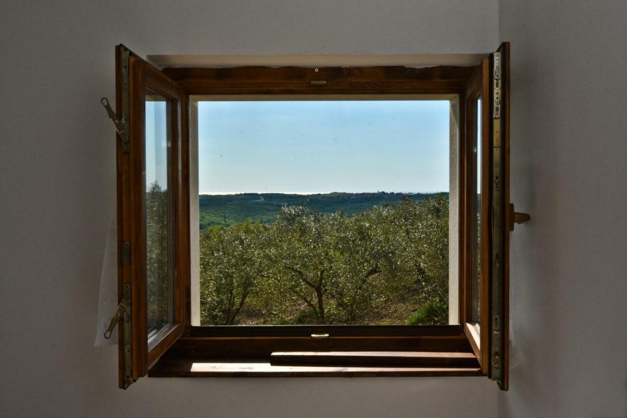 Rooms Agroturizam Romano Buje Exterior photo