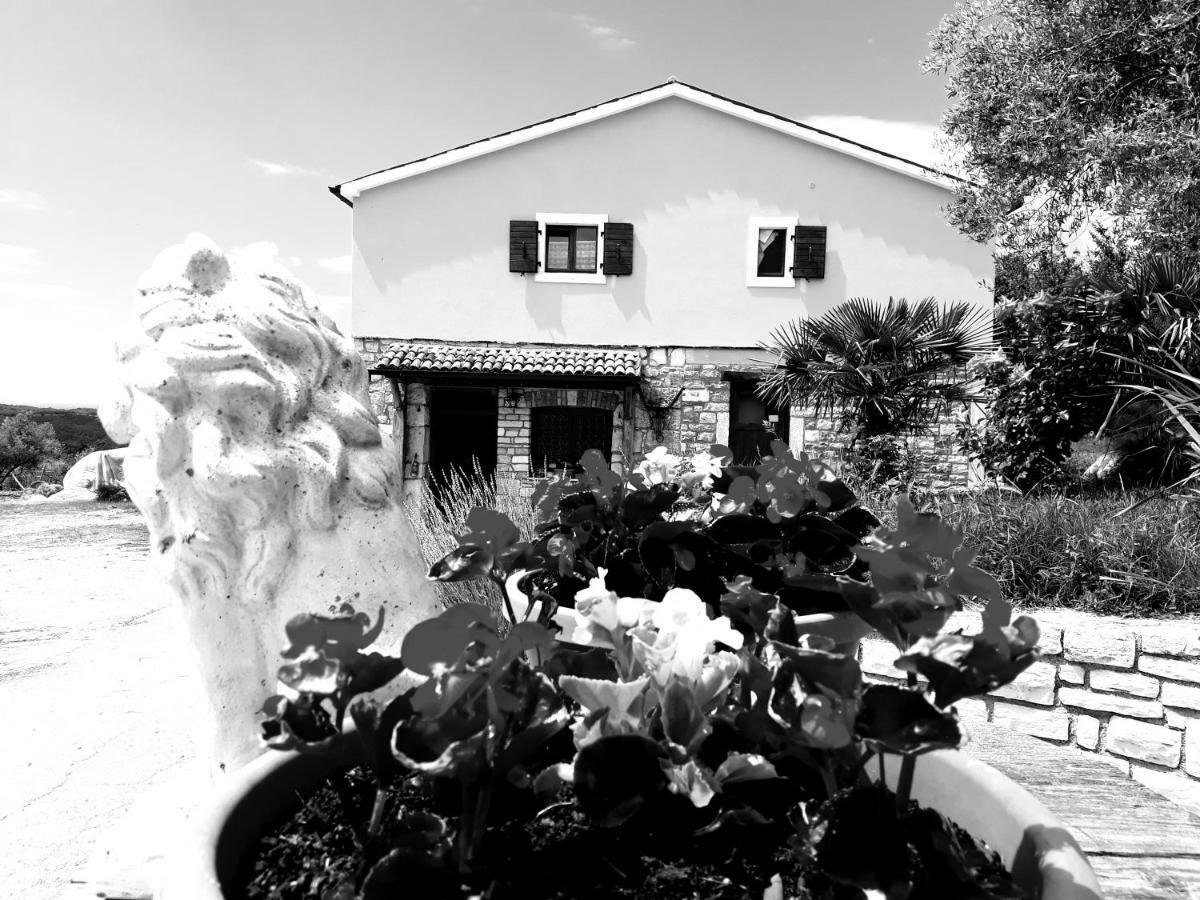 Rooms Agroturizam Romano Buje Exterior photo
