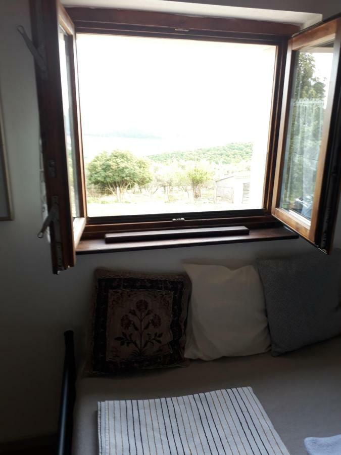 Rooms Agroturizam Romano Buje Exterior photo